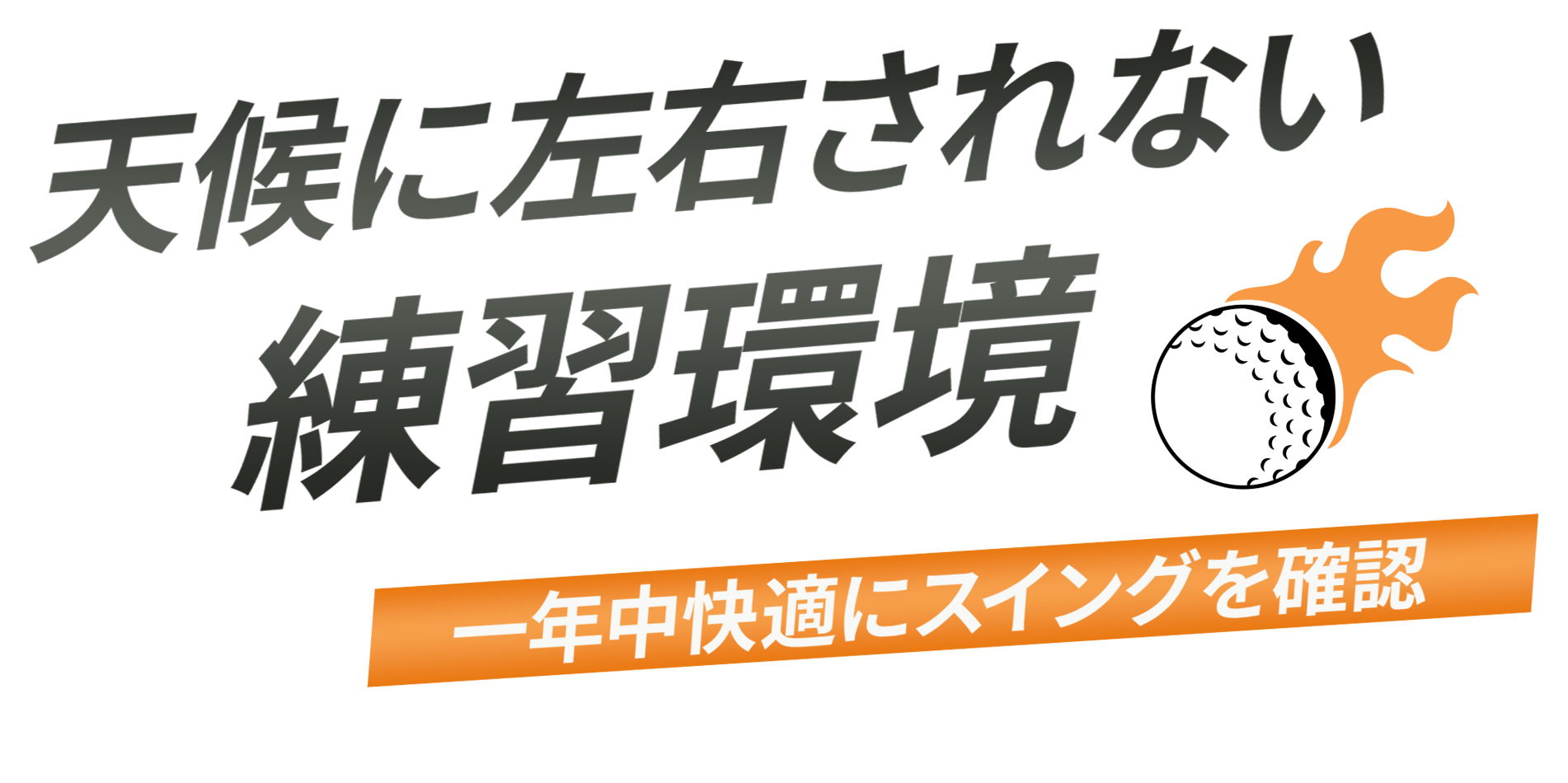 MVcatch